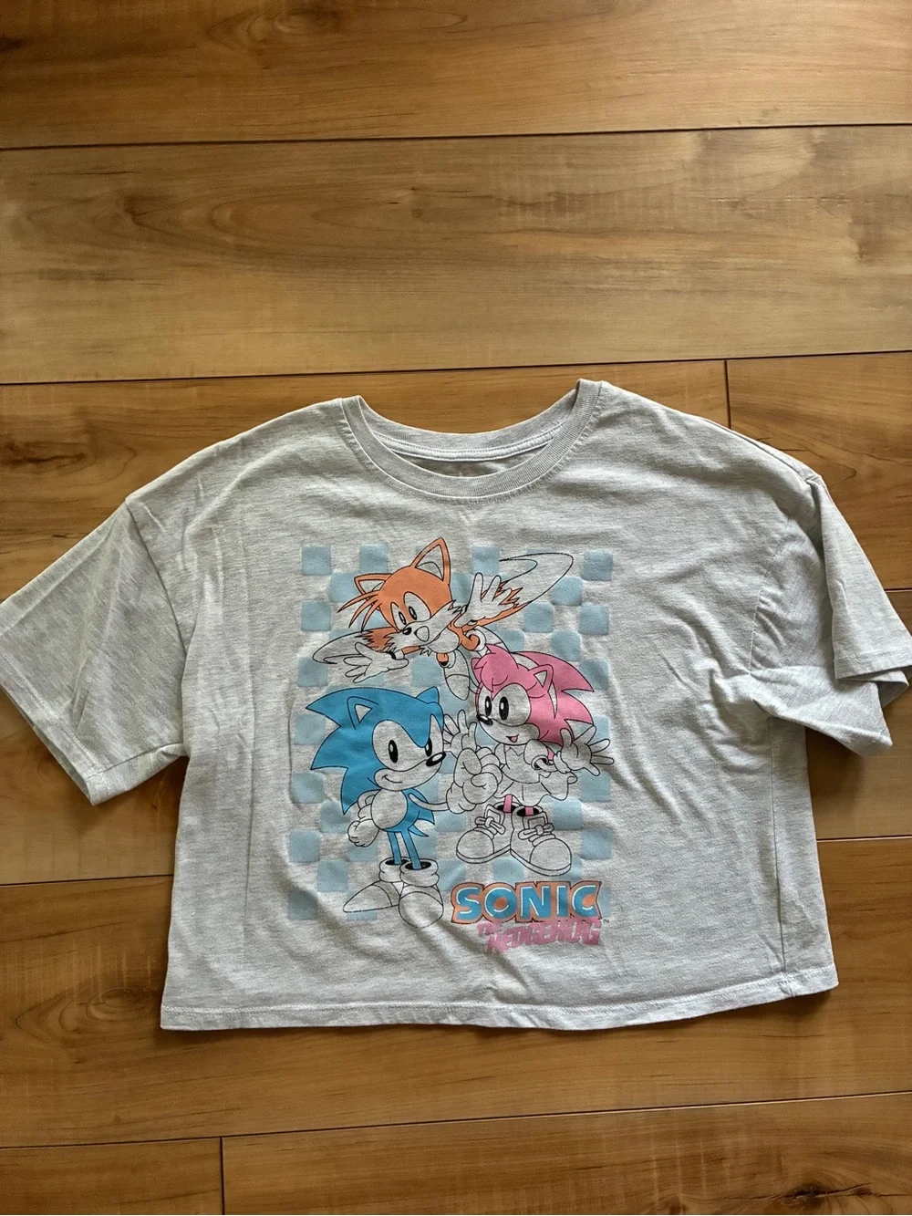 Sonic Characters Short Sleeve Tee - Light Gray with Blue & Pink Art
